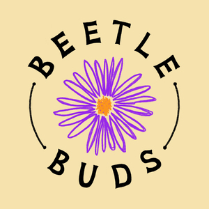 Beetle Buds Pollinator Week Fundraiser